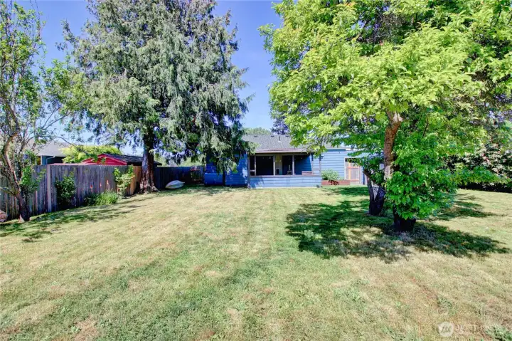 Fenced backyard