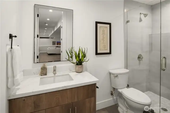 Lower level full bath