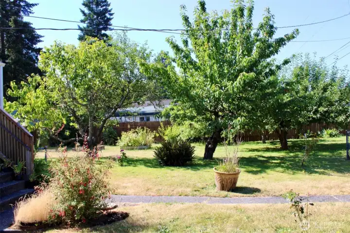 front yard