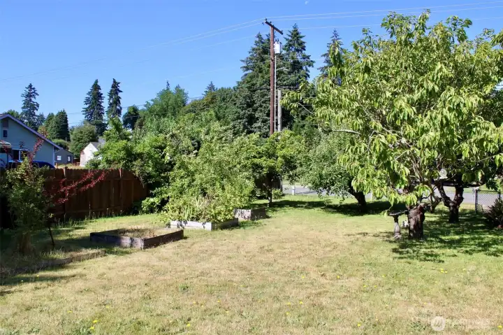 side yard