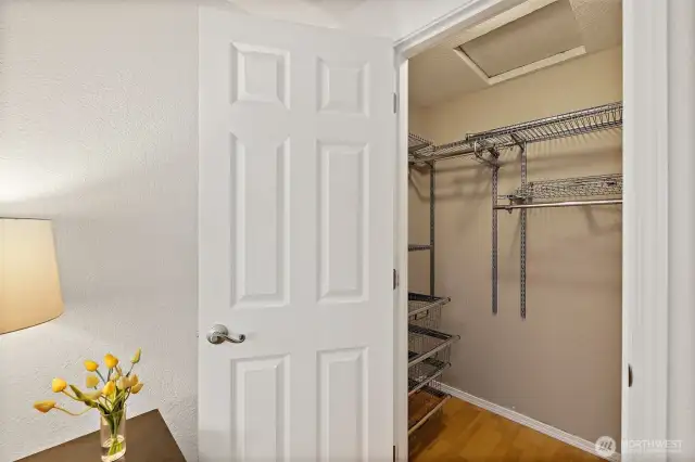 Spacious walk-in closet in master bedroom