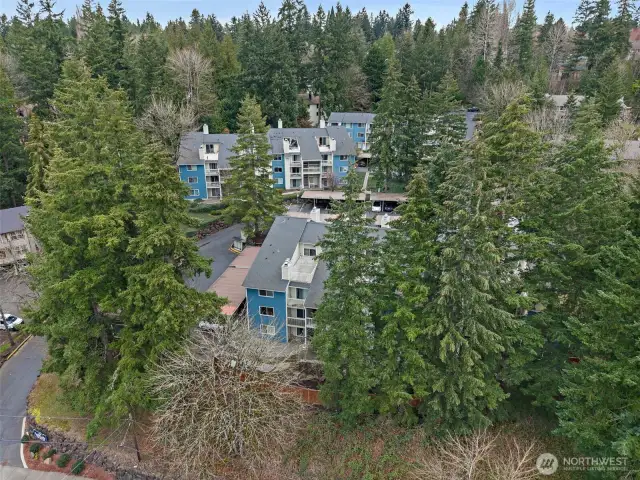 The Redwoods condominium