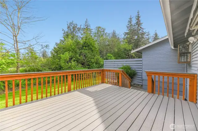 Sunny back entertainment deck