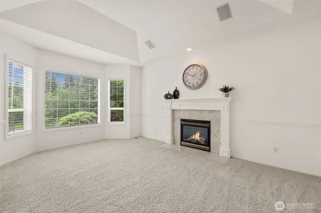 Formal Living Room Fireplace