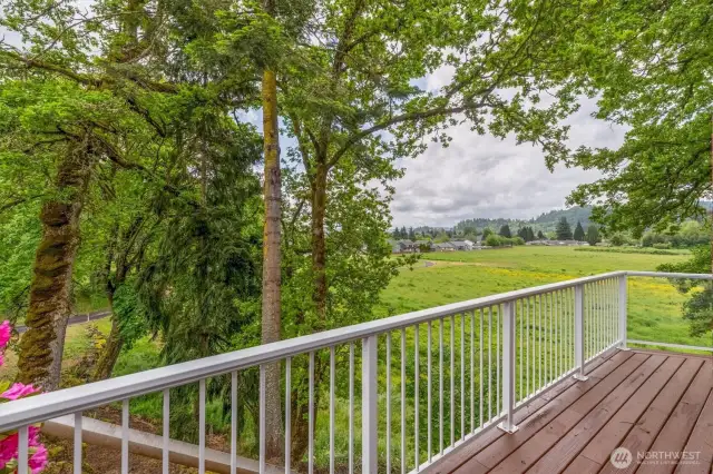 Deck off main level living area
