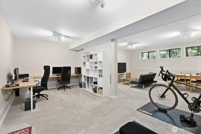 Lower Level Rec room/ family room.  Plenty of room for work, workout, play and  entertainment.