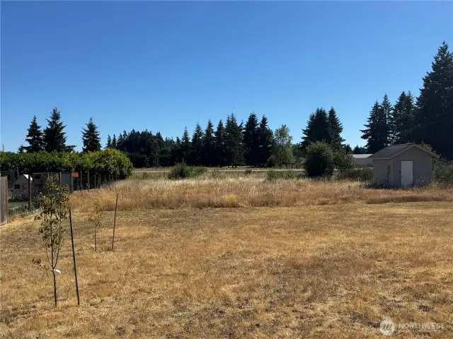 The back yard of this lovely half acre.
