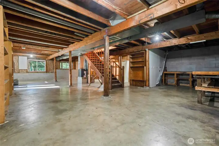 Unfinished Basement