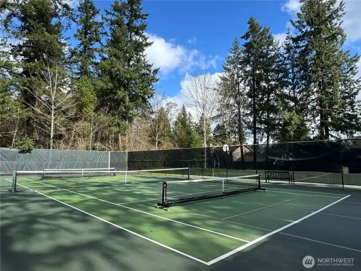 Tennis & Pickleball Courts