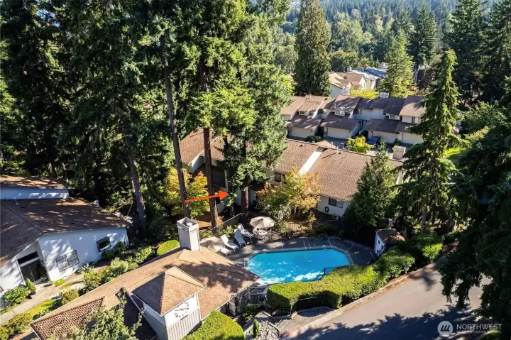 Community Pool with property location