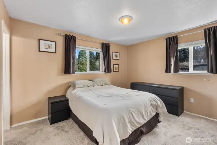 Primary bedroom featuring two windows, soft natural light, and plush carpeting