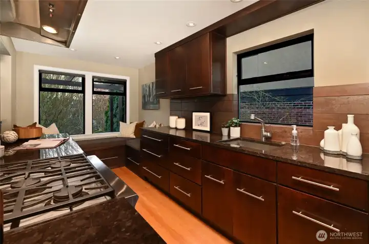 Miele dishwasher has paneling.