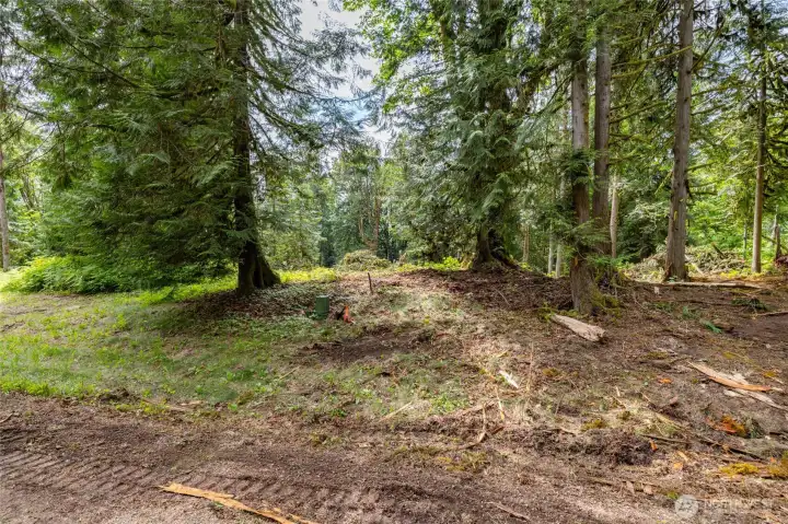Partial clearing of lots is taking place
