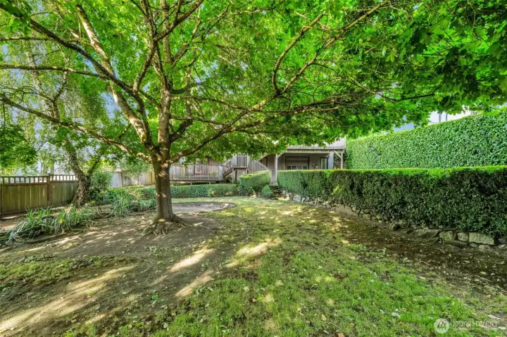 434 Borough Rd - Yard 434 Borough Rd - Yard