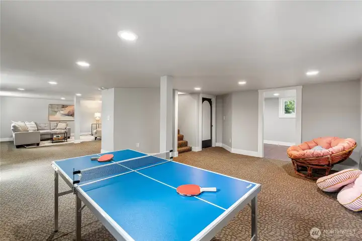 Lower level family room and rec space