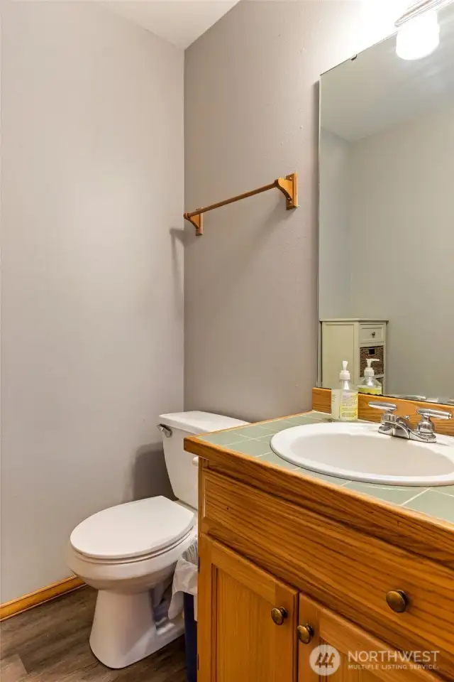 Lower level bathroom