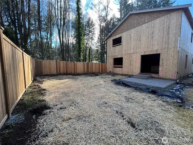 Back yard 2.28.25
