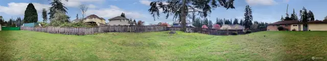 Huge backyard 1