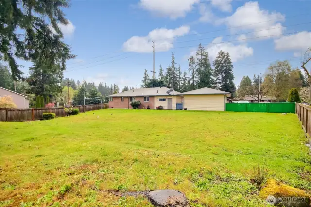 Huge backyard 2