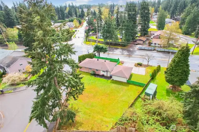 Huge backyard 3