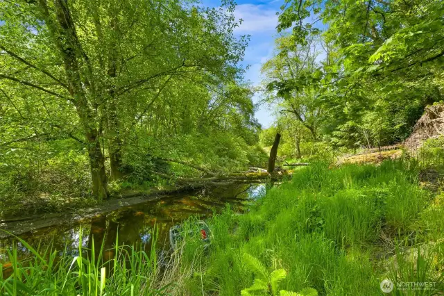 Imagine having this just steps from your house...