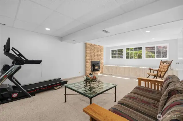 Rec/Family room with 2nd fireplace