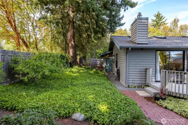 Side yard is very green and lush but low maintenance