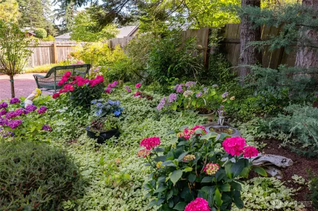 Beautiful garden