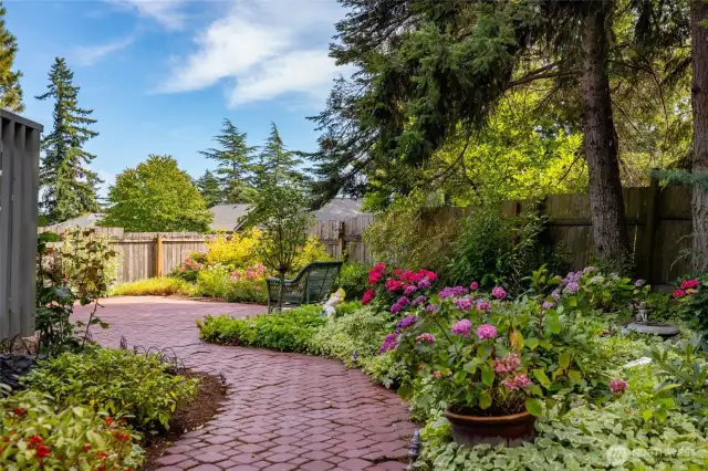 Patio and garden
