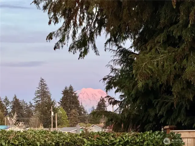 PEEK-A-BOO-VIEW OF MT RAINER