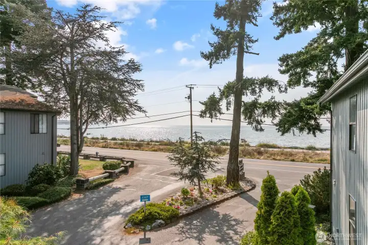 View from south facing deck