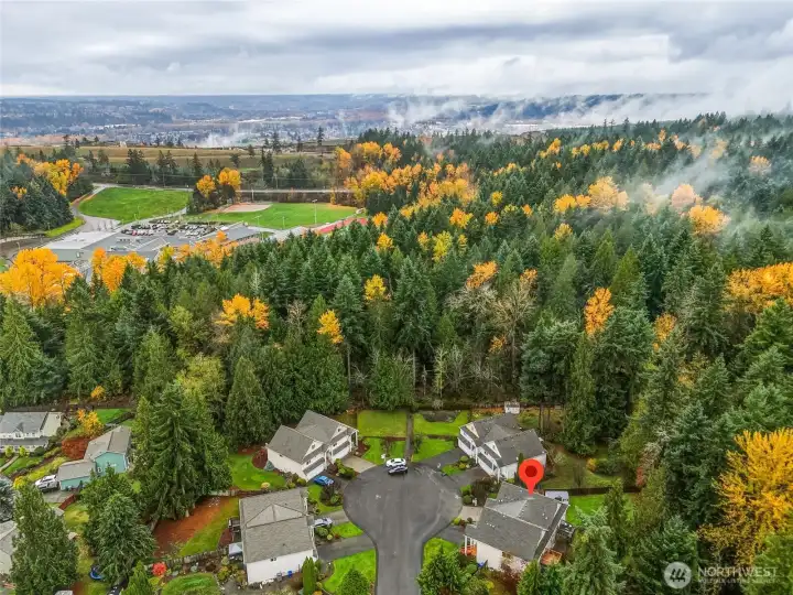 Middle school in the distance