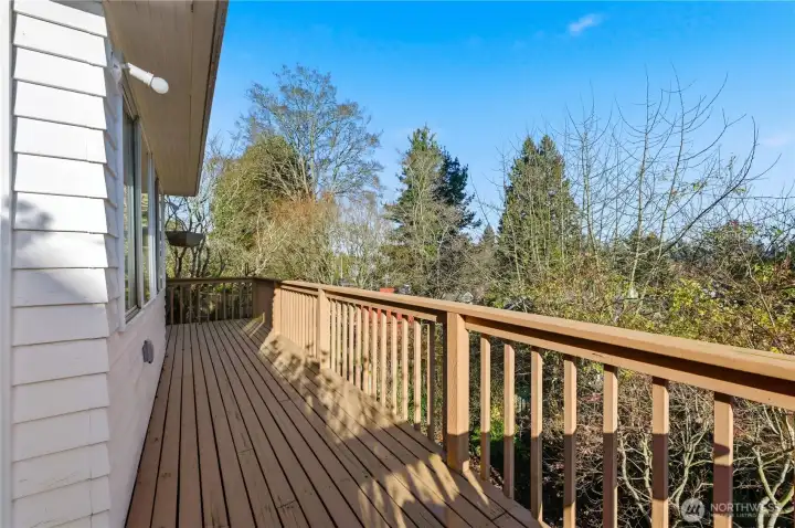 Large Deck Off of the Back of the House