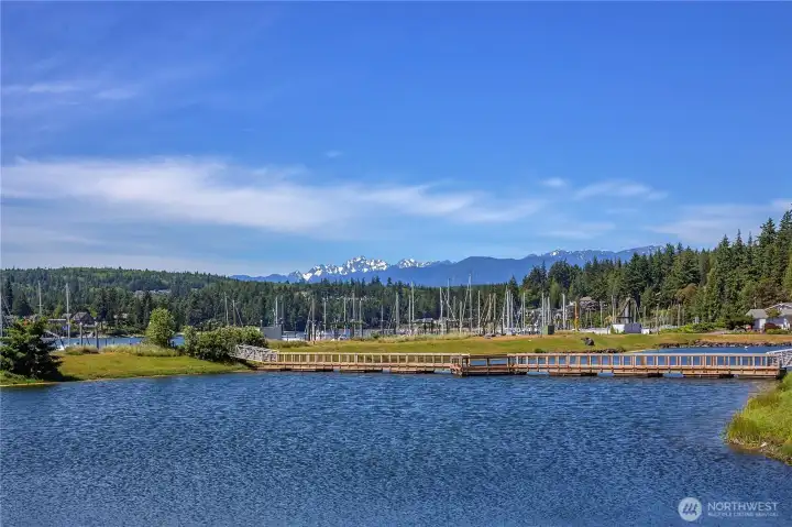 Surrounded by nature and wild life.