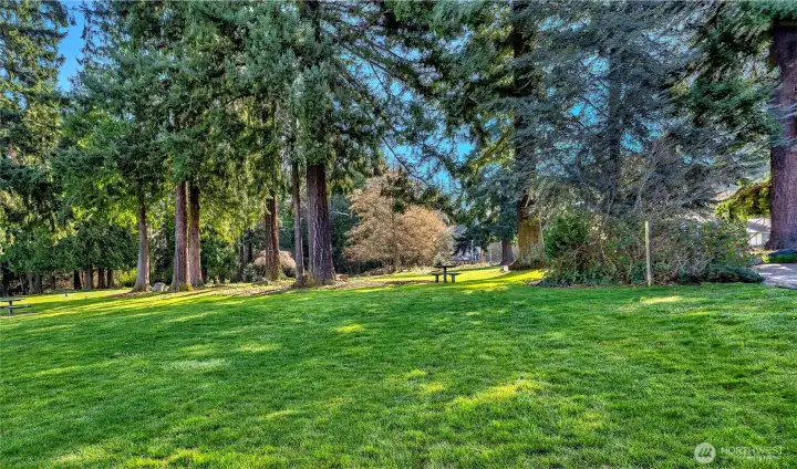 A perfect place for a picnic, and don't forget to bring your pup to this dog friendly park!