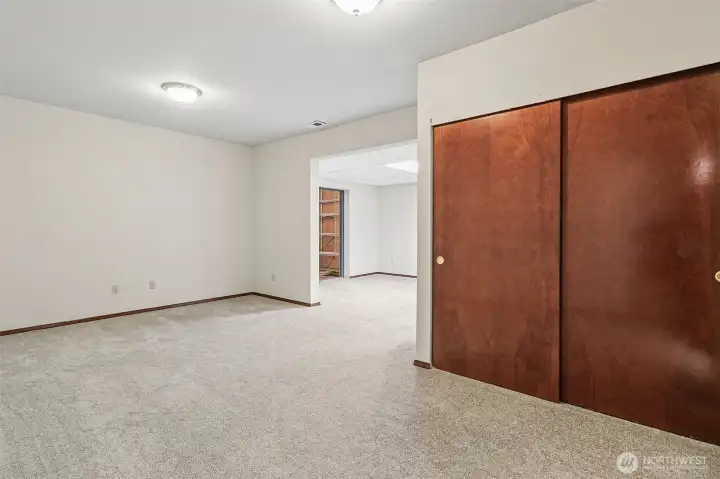 Lower Level Large Bonus Room