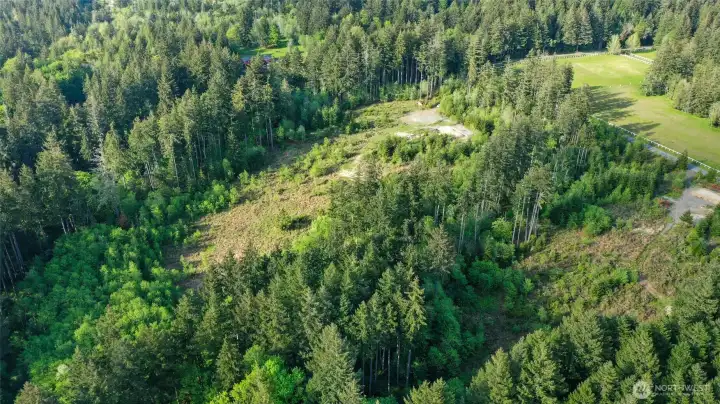 Here you can see more of LOT B.  Don't worry, Hatton Godat Pantier have staked and marked much of the lots- so the boundary lines are clear.