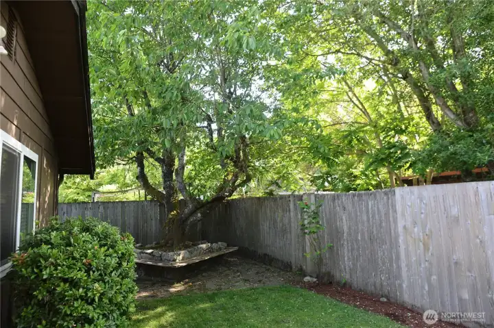Beautiful and private backyard Beautiful and private backyard