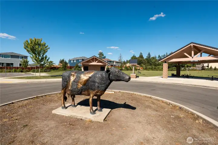 Community Park