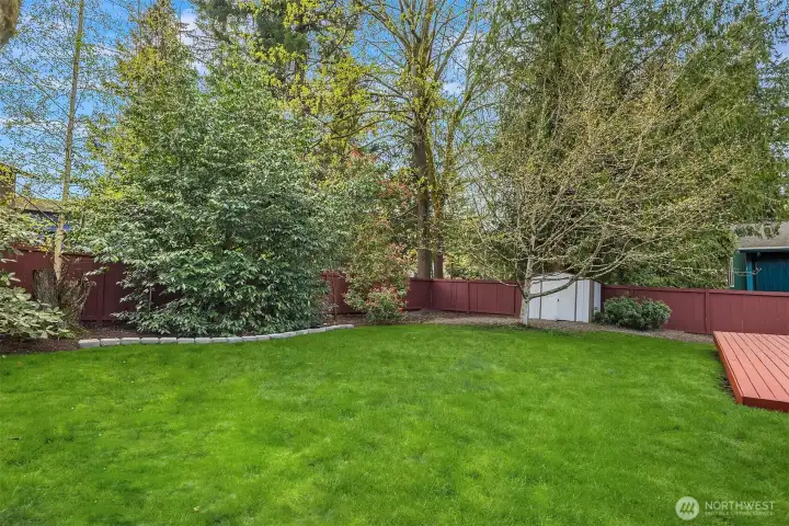 Nice Flat yard - fully fenced