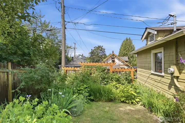 Main house garden area