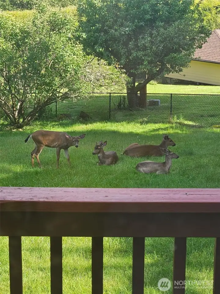 These guys camp out every now and then These guys camp out every now and then