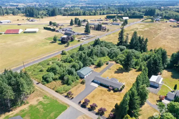 Harmon road access drive to the East end of parcel, plenty of room for a future equestrian, hobby farm or person park! Harmon road access drive to the East end of parcel, plenty of room for a future equestrian, hobby farm or person park!