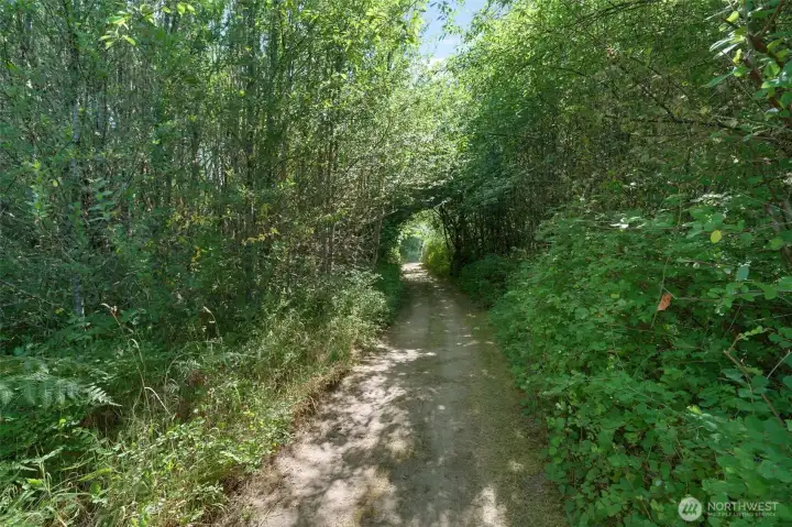 Secret trail to the back of parcel. Secret trail to the back of parcel.