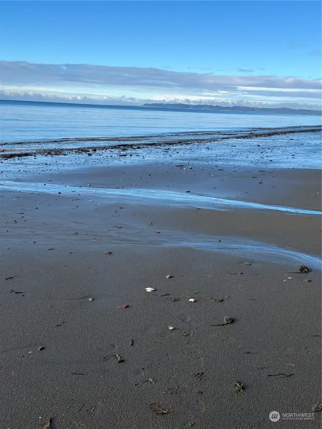 Beach facing north