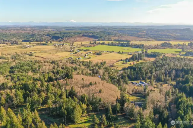 Once Property is cleared, it opens up views of Mount St. Helens, Rainier, and Adams