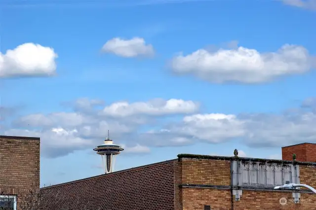 Space needle views!