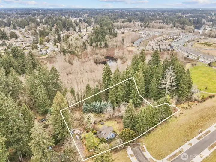 DELTA LANE to the Left of the house, new Rhododendron Street at the bottom of the photo--- Ready to connect!  Briggs Village in the background, with Ward Lake in the distance.