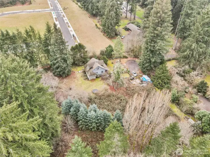View looking South, towards Yelm Hwy. Left side of home.