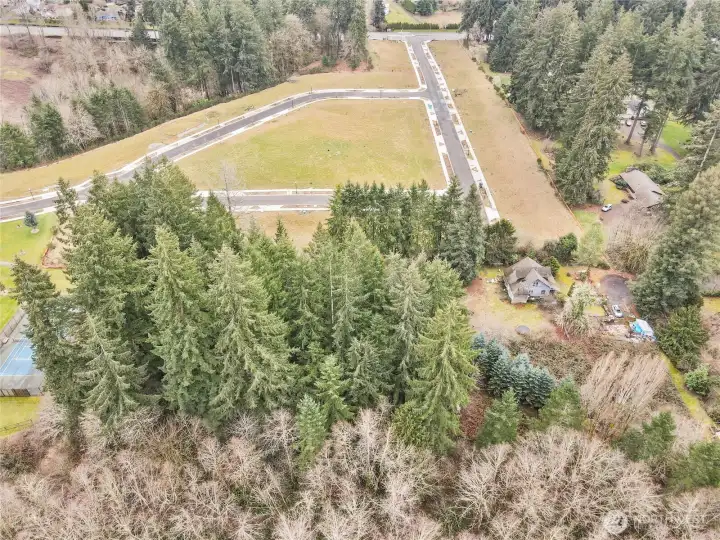 Pulled-out view..... Looking towards Yelm Hwy.